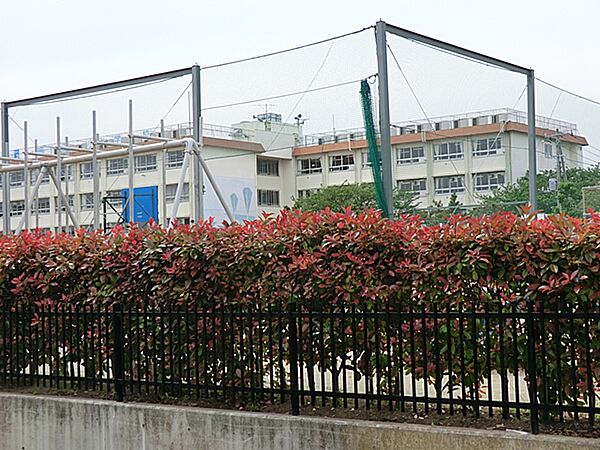 細田小学校は、東京の区部にありますが、農地も見られ、近くに新中川が流れる、水と緑に恵まれた環境にあります。