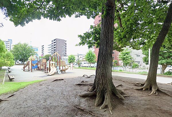 滑り台、砂場、バスケットゴール等、大型遊具がある公園。お散歩するにもいい広さです。幅広い年代が楽しめる公園です。