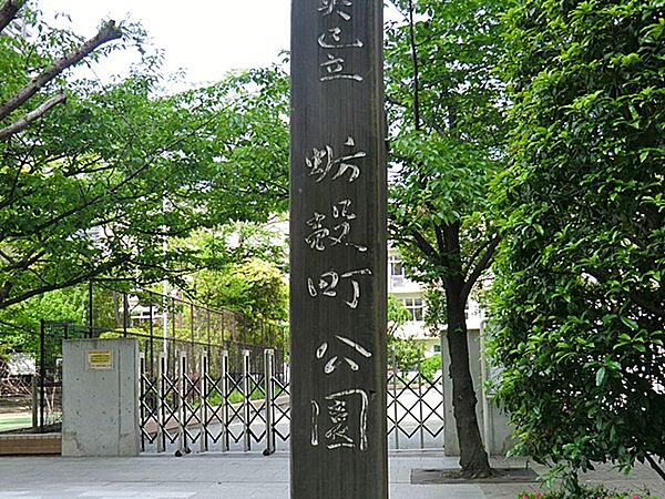 たくさんの種類の遊具があり、広々とした公園です。