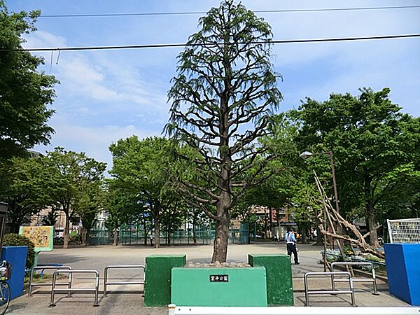 滑り台、ブランコ、砂場、広場、十分な遊具があります。