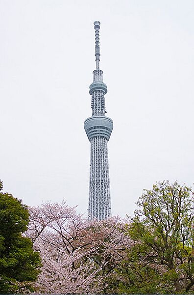 春には屈指の桜の名所となり、夏には隅田川花火大会が行われます。公園内の庭園は水戸徳川邸内の池等、遺構を利用して造られています。墨田区屈指の公園です。