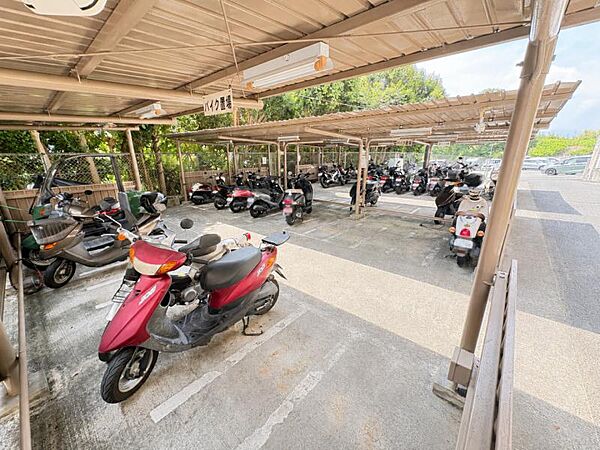 ゴミ置き場や電柱の位置なども現地でご確認いただけます。