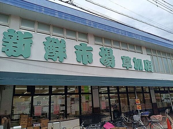 新鮮市場　草加店 1120m