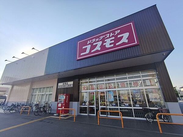コスモス 720m