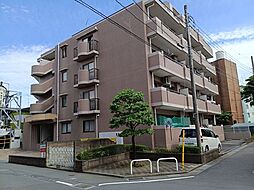 ベルドゥムール草加松原