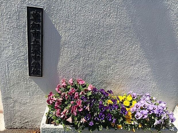 草加市立栄中学校 1130m