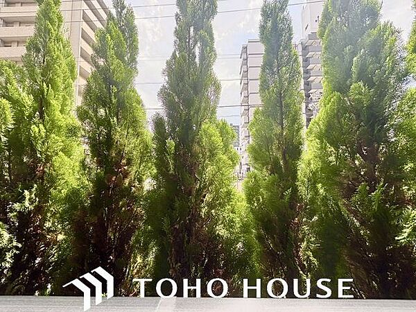 さまざまな表情の景色を眺めながら、くつろぎのひと時をお過ごし頂けます。