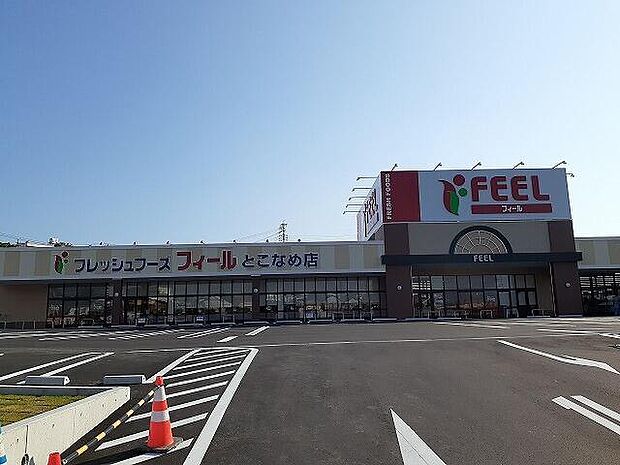 フィールとこなめ店まで996m