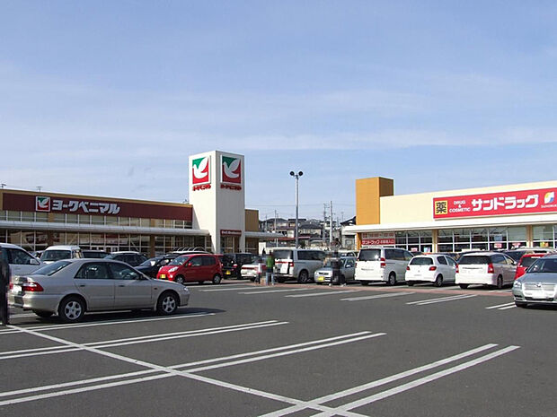 ヨークベニマル利府野中店 徒歩4分