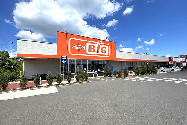 ザ ビッグ 利府青山店 徒歩19分