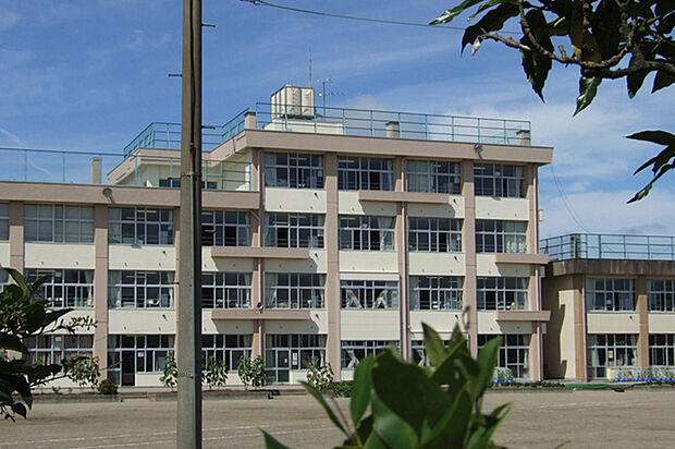 六郷小学校 徒歩19分