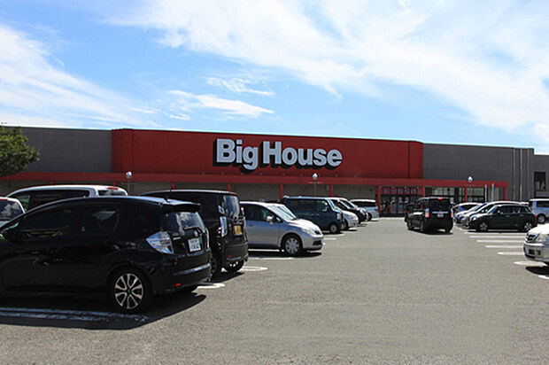 ビッグハウス大野田店 徒歩10分