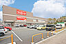 周辺：ツルハドラッグ仙台鶴ヶ谷店　徒歩4分