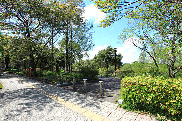 桜ケ丘公園 徒歩5分