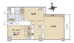 コート・アドヴァンス