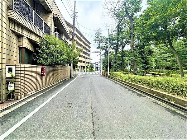 前面道路（南西側）