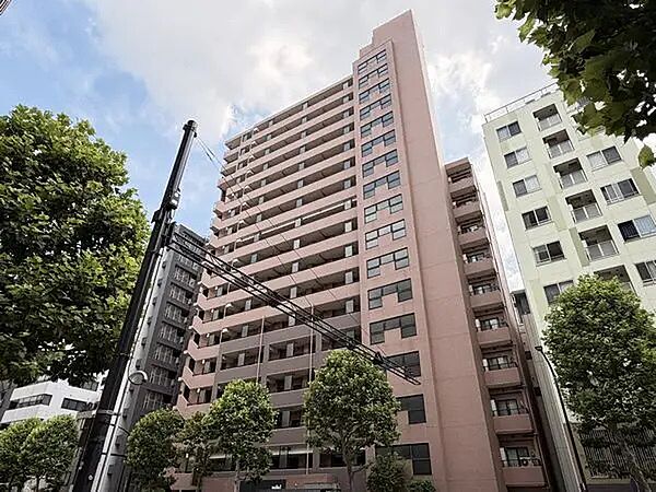外観：313004873176