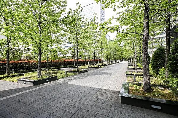 エントランスアプローチ
