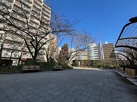 築地川公園まで約80m 徒歩1分