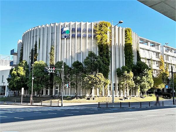 区立有明小学校・中学校まで約450m　徒歩6分