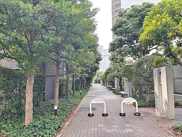 貫通通路（公開空地）