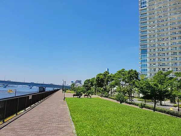 周辺水辺のテラス