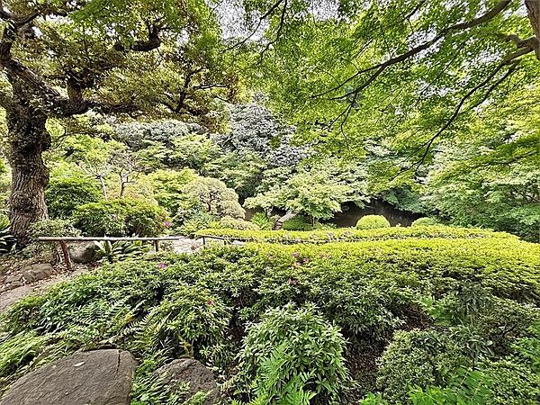 区立池田山公園まで約550m
