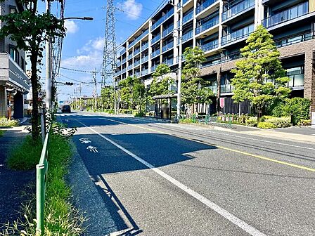 西側 前面道路
