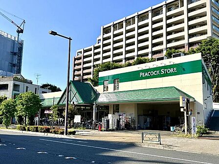 ピーコックストア花小金井店まで約450ｍ