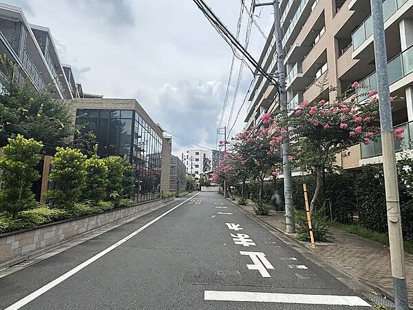 前面道路（南側）含む現地外観写真