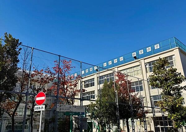 墨田区立外手小学校まで約580m　