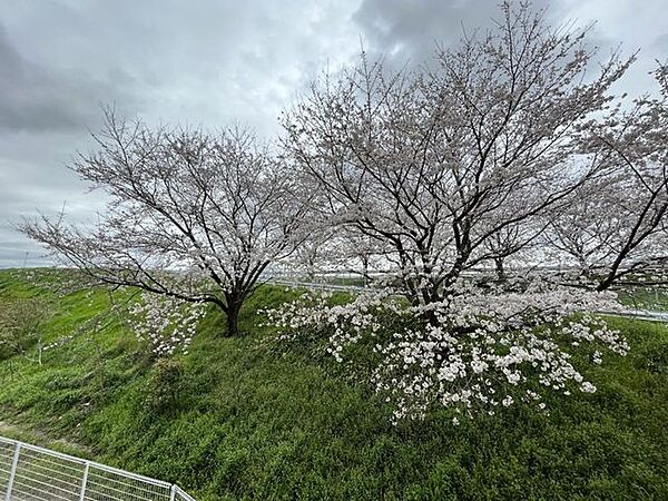 【眺望】住戸からの眺望