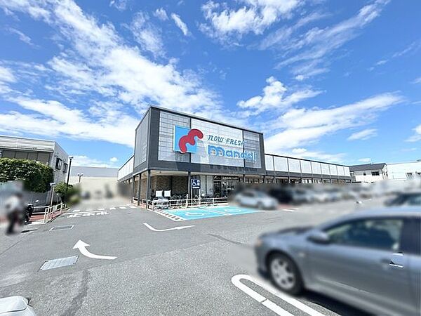 【万代南木の本店様】約700ｍ徒歩約8～9分の位置にございます。徒歩圏内にございますが駐車場も完備しておりますのですぐ買い物に行けるのは嬉しいですね。
