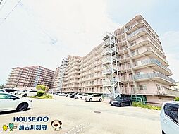 マンハイム加古川