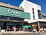 その他：カインズ大宮店924ｍ(徒歩12分)