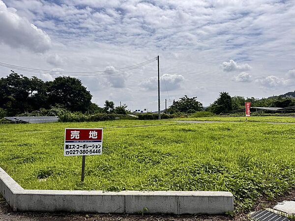 外観：310000094251