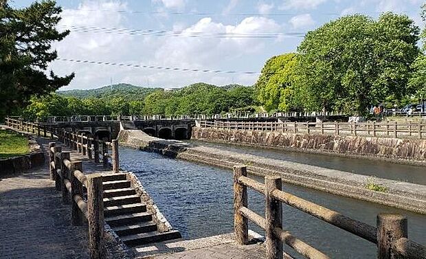 酒津公園岡山県倉敷市にある酒津公園は「水と桜」がテーマの総合公園です。春には約500本の桜が咲き誇る名所となり、夏には豊かな水流を活かした親水広場での水遊びや、大型遊具でのピクニックが家族連れに大…