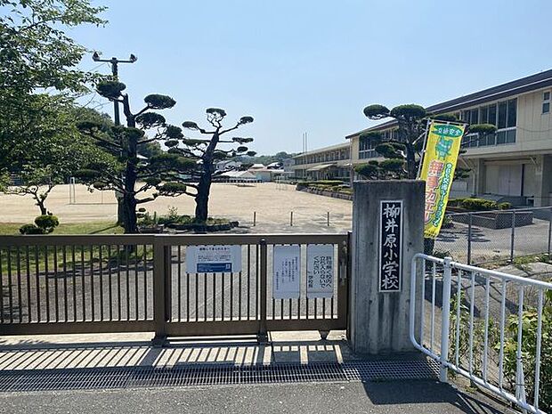 柳井原小学校高梁川沿いの豊かな自然に囲まれた倉敷市の公立校です。少人数教育を活かしたきめ細かな学習指導や、地域と連携した温かい教育環境が特徴です。児童一人ひとりの個性を伸ばし、豊かな人間性と創造性…
