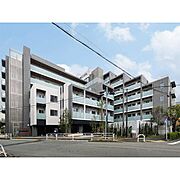 等々力駅より徒歩9分 2階 築2年の賃貸物件