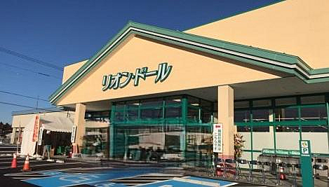 リオン・ドール高根沢店まで706m