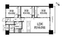 シティコープ豊洲 3LDKの間取図画像