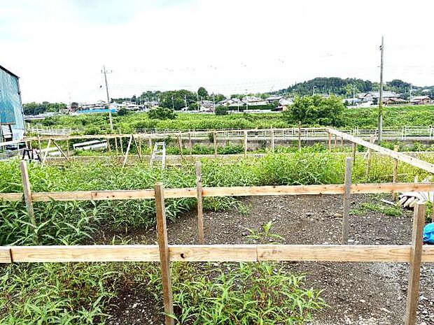現況写真です。