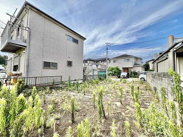 現況写真です。