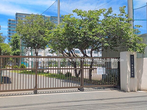 茅ヶ崎市立梅田中学校まで約650m(徒歩9分)
