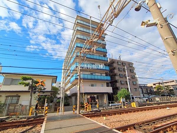 現地写真です。