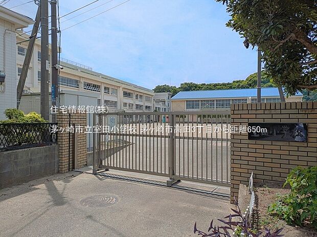 茅ヶ崎市立室田小学校まで約650m(徒歩9分)