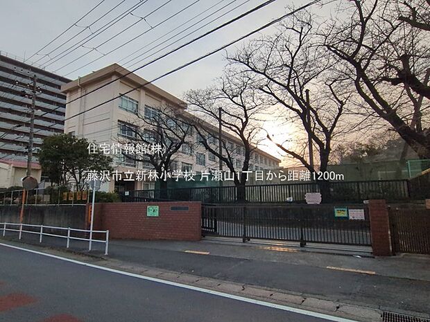 藤沢市立新林小学校まで約1200m(徒歩15分)