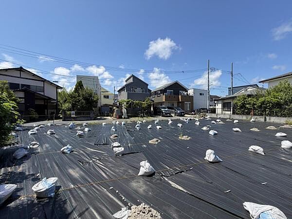 現地写真です。