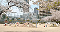 公園「市岡公園...