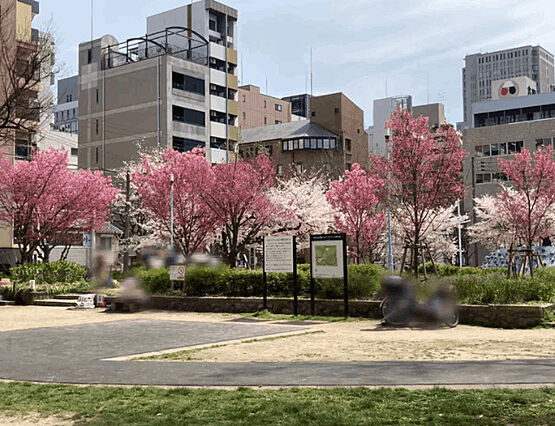 公園「中大江公...